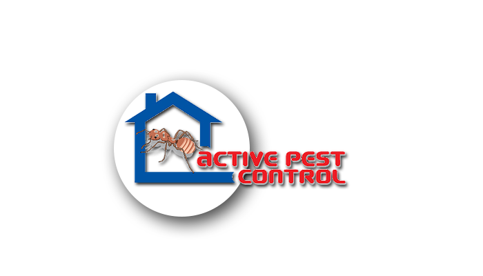 ACTIVE PEST CONTROL 45 Photos & 102 Reviews Pest Control 17415 Woodruff Ave, Bellflower