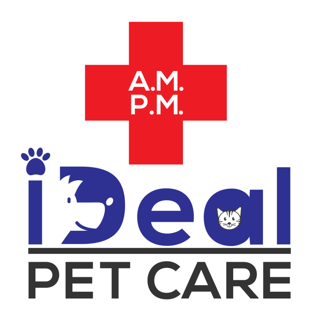 AM PM Ideal Pet Care Norwalk Chamber of Commerce